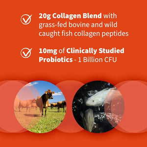 GARDEN OF LIFE - Garden of Life Marine & Grass-Fed Collagen Peptides Powder 270Gr. - The Red Vitamin MX - Suplementos Alimenticios - {{ shop.shopifyCountryName }}