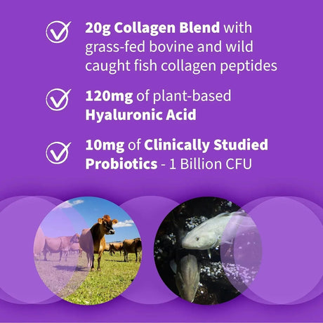 GARDEN OF LIFE - Garden of Life Marine & Grass-Fed Collagen Peptides Powder 270Gr. - The Red Vitamin MX - Suplementos Alimenticios - {{ shop.shopifyCountryName }}