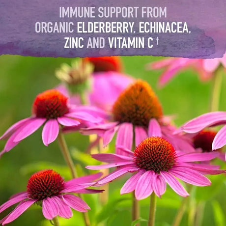 GARDEN OF LIFE - Garden of Life Mykind Organics Elderberry Immune Syrup 195Ml. - The Red Vitamin MX - Suplementos Alimenticios - {{ shop.shopifyCountryName }}