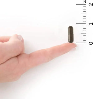 GARDEN OF LIFE - Garden of Life Primal Defense Ultra Ultimate Probiotic Formula 60 Capsulas - The Red Vitamin MX - Suplementos Alimenticios - {{ shop.shopifyCountryName }}