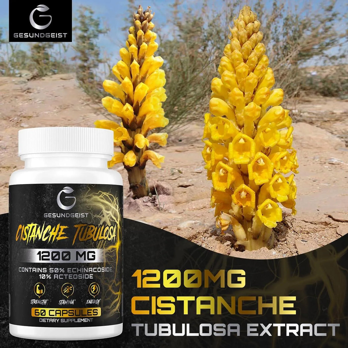 GESUNDGEIST - Gesundgeist Cistanche Tubulosa Extract 1200Mg. 60 Capsulas 2 Pack - The Red Vitamin MX - Suplementos Alimenticios - {{ shop.shopifyCountryName }}