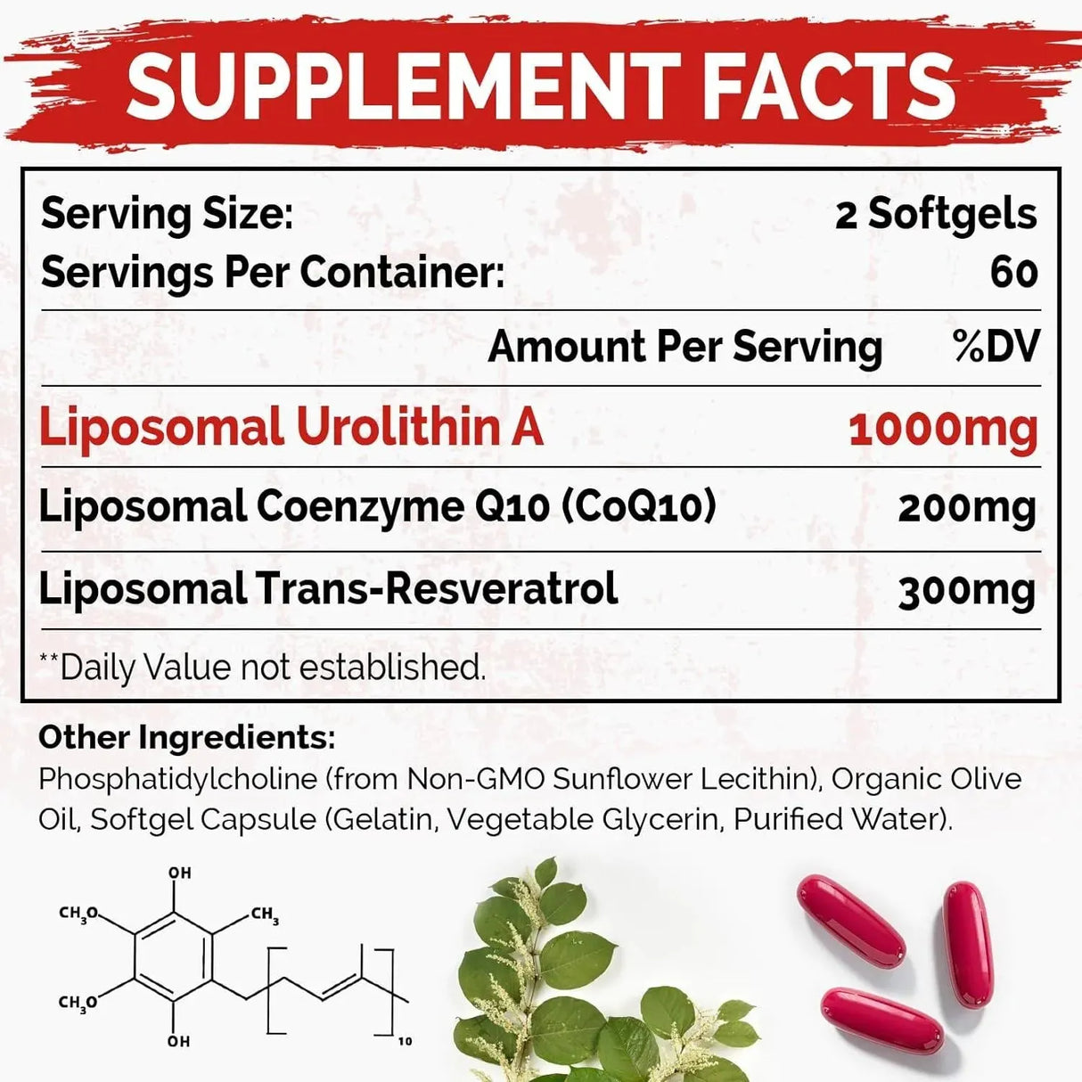 GESUNDGEIST - Gesundgeist Liposomal Urolithin A 1500Mg. 120 Capsulas Blandas 2 Pack - The Red Vitamin MX - Suplementos Alimenticios - {{ shop.shopifyCountryName }}