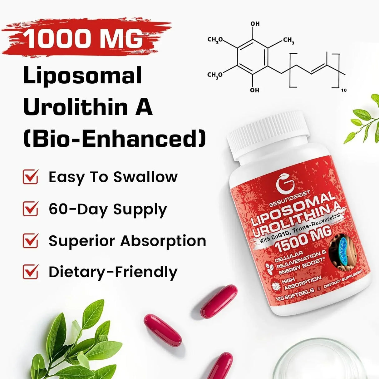 GESUNDGEIST - Gesundgeist Liposomal Urolithin A 1500Mg. 120 Capsulas Blandas 2 Pack - The Red Vitamin MX - Suplementos Alimenticios - {{ shop.shopifyCountryName }}