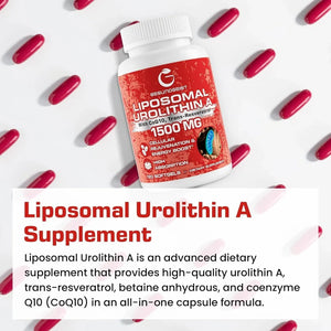 GESUNDGEIST - Gesundgeist Liposomal Urolithin A 1500Mg. 120 Capsulas Blandas - The Red Vitamin MX - Suplementos Alimenticios - {{ shop.shopifyCountryName }}