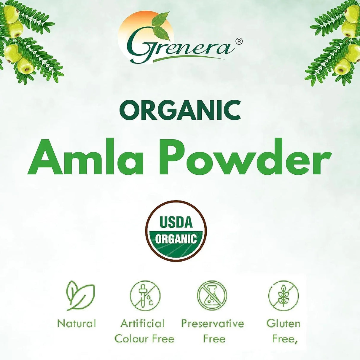 GRENERA - Grenera Organic Amla Powder 1 Kg. - The Red Vitamin MX - Suplementos Alimenticios - {{ shop.shopifyCountryName }}