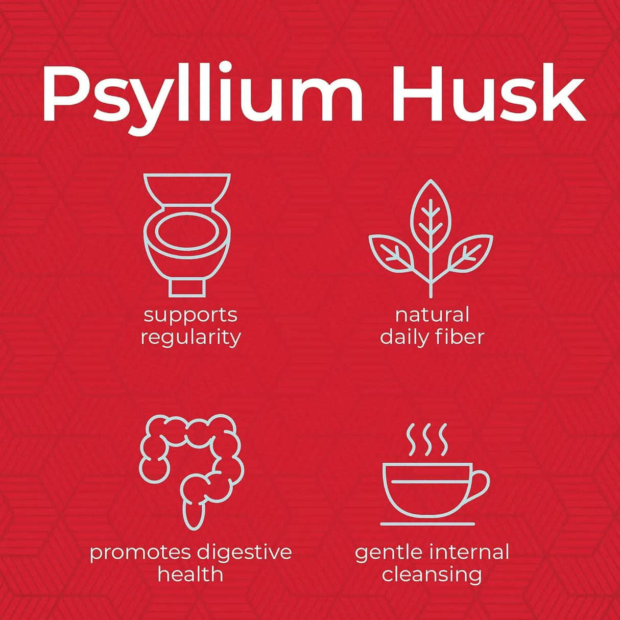 HEALTH PLUS - Health Plus Psyllium Husk 340Gr. - The Red Vitamin MX - Suplementos Alimenticios - {{ shop.shopifyCountryName }}