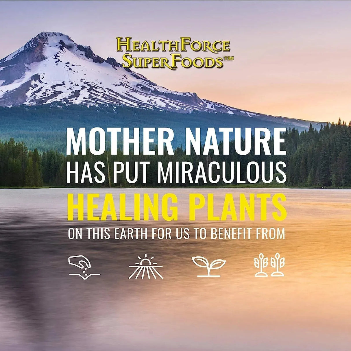 HEALTHFORCE SUPERFOODS - HEALTHFORCE SUPERFOODS Truly Natural Vitamin C 120 Capsulas - The Red Vitamin MX - Suplementos Alimenticios - {{ shop.shopifyCountryName }}
