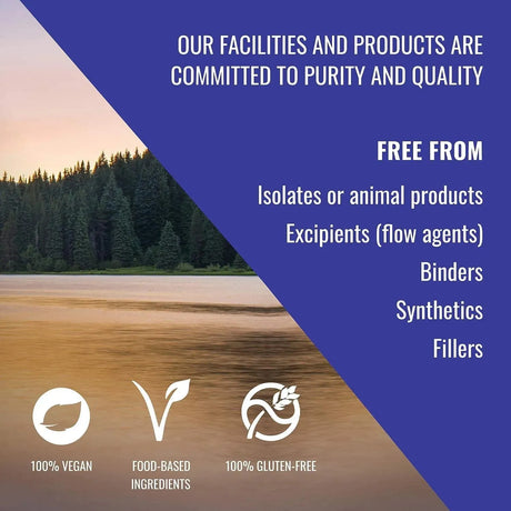 HEALTHFORCE SUPERFOODS - HEALTHFORCE SUPERFOODS Truly Natural Vitamin C 240 Capsulas - The Red Vitamin MX - Suplementos Alimenticios - {{ shop.shopifyCountryName }}