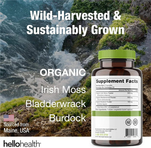 HELLO HEALTH - Hello Health Organic Irish Sea Moss 120 Capsulas - The Red Vitamin MX - Suplementos Alimenticios - {{ shop.shopifyCountryName }}