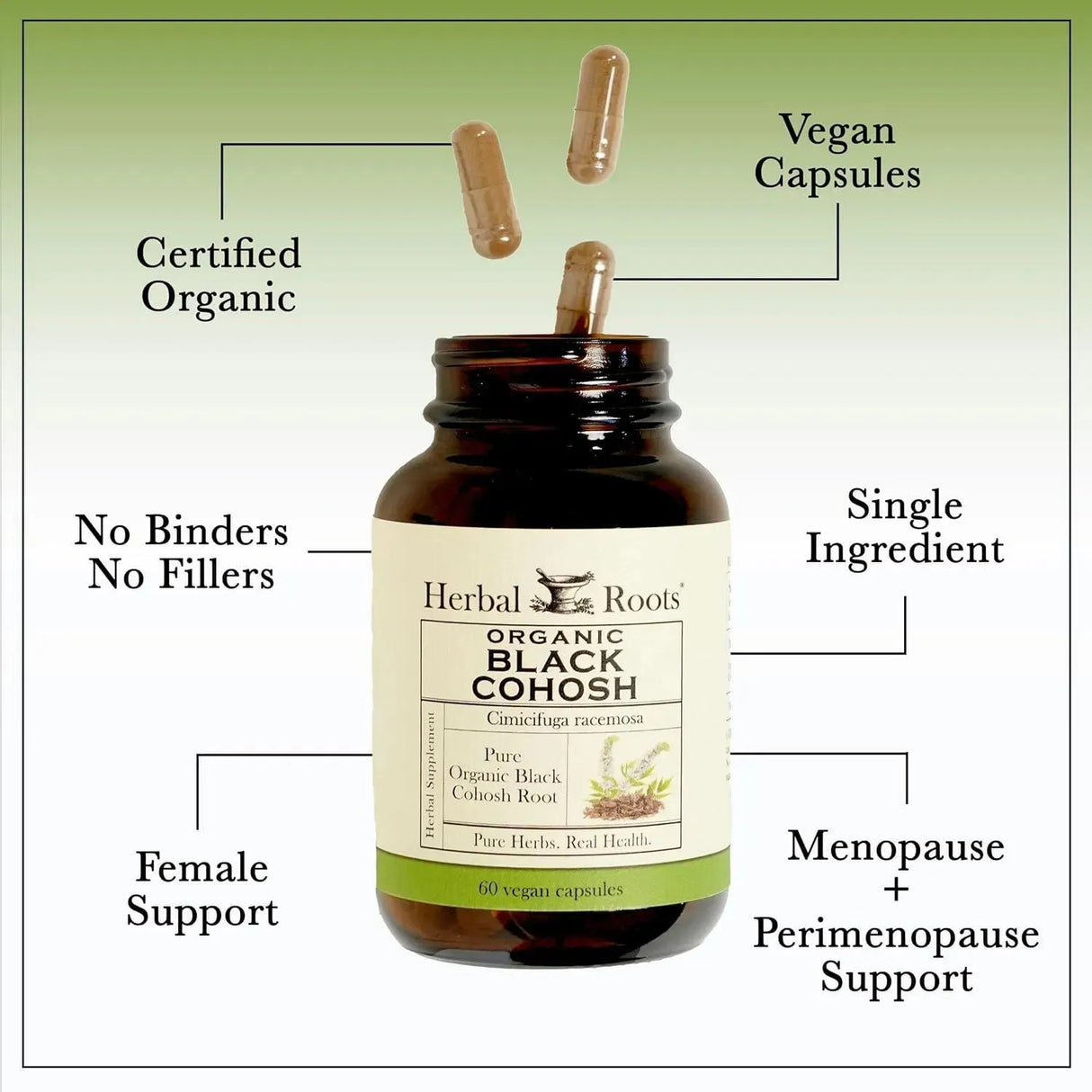 HERBAL ROOTS - Herbal Roots Organic Black Cohosh Root 600Mg. 60 Capsulas - The Red Vitamin MX - Suplementos Alimenticios - {{ shop.shopifyCountryName }}