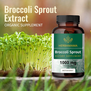 HERBAMAMA - Herbamama Broccoli Sprouts Sulforaphane 100 Capsulas - The Red Vitamin MX - Suplementos Alimenticios - {{ shop.shopifyCountryName }}