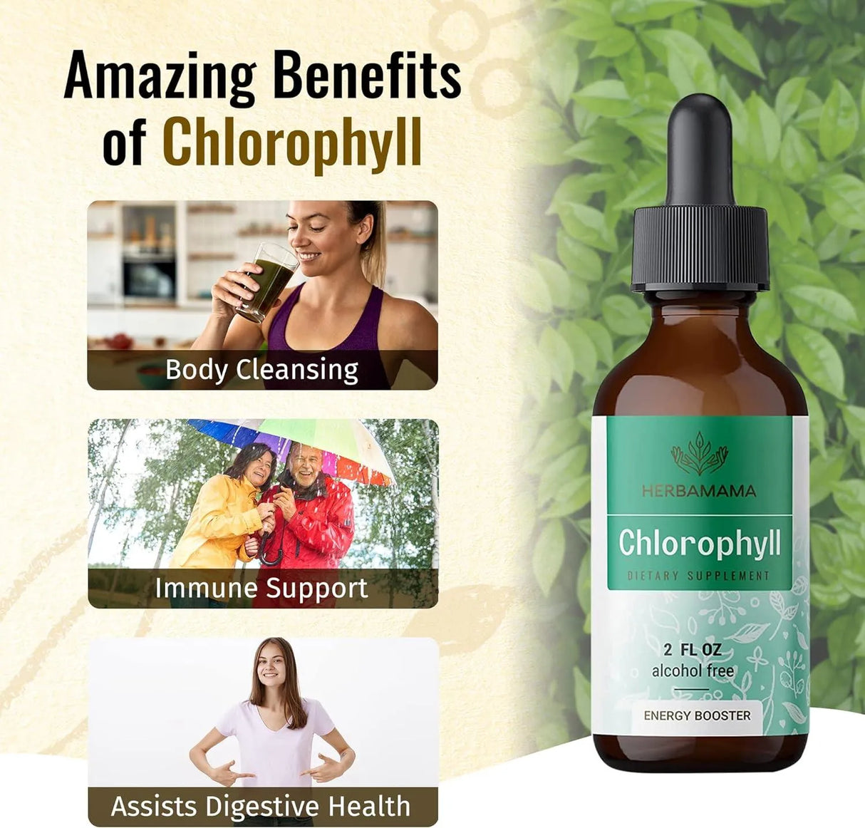 HERBAMAMA - Herbamama Chlorophyll Liquid Drops 2 Fl.Oz. - The Red Vitamin MX - Suplementos Alimenticios - {{ shop.shopifyCountryName }}