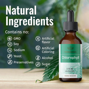 HERBAMAMA - Herbamama Chlorophyll Liquid Drops 2 Fl.Oz. - The Red Vitamin MX - Suplementos Alimenticios - {{ shop.shopifyCountryName }}