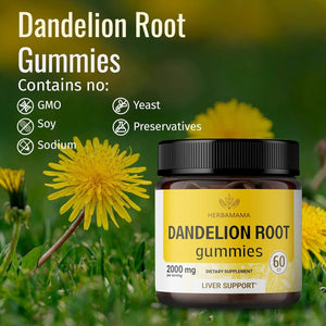 HERBAMAMA - Herbamama Dandelion Root Gummies 60 Gomitas - The Red Vitamin MX - Suplementos Alimenticios - {{ shop.shopifyCountryName }}