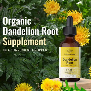 HERBAMAMA - Herbamama Dandelion Root Tincture 2 Fl.Oz. - The Red Vitamin MX - Suplementos Alimenticios - {{ shop.shopifyCountryName }}