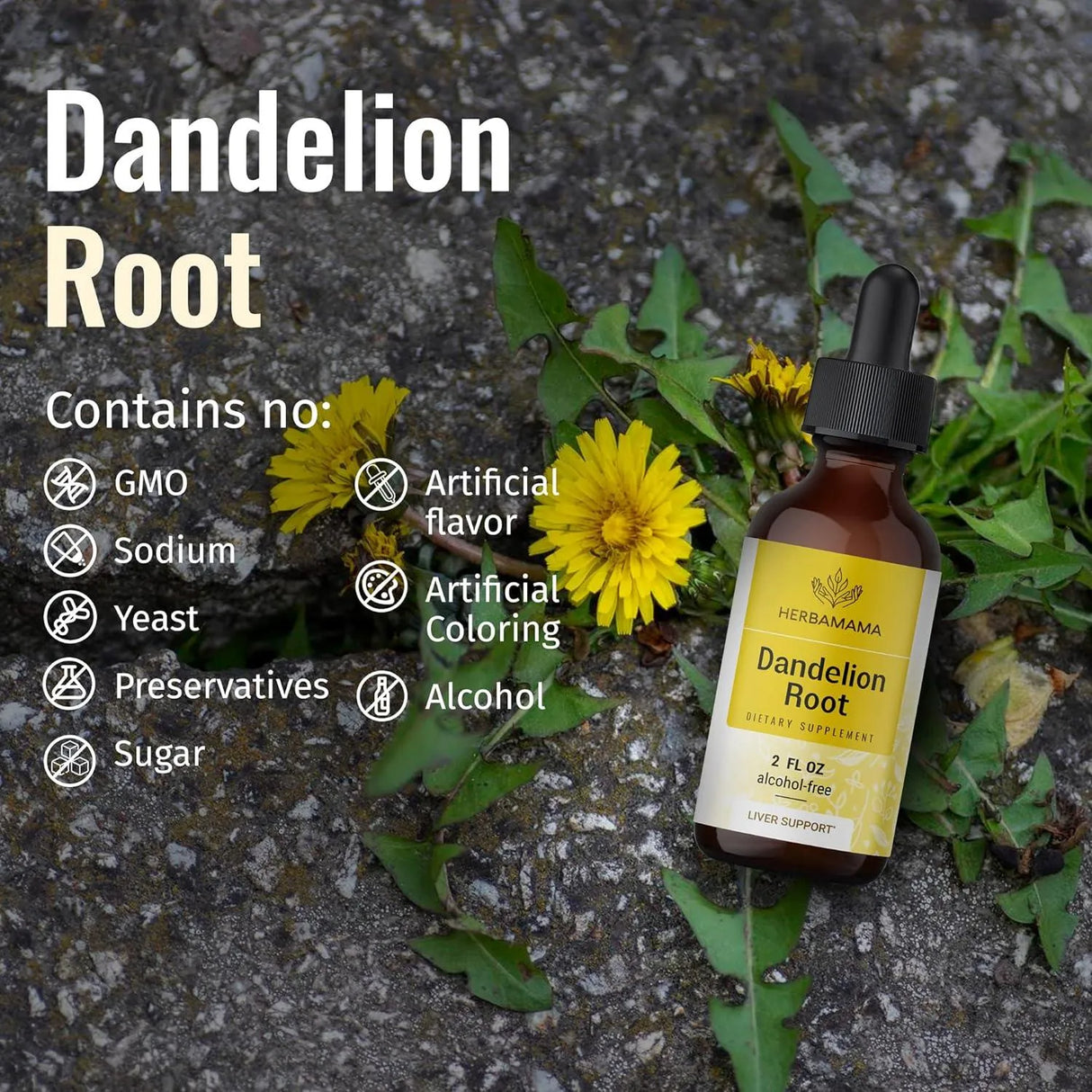 HERBAMAMA - Herbamama Dandelion Root Tincture 2 Fl.Oz. - The Red Vitamin MX - Suplementos Alimenticios - {{ shop.shopifyCountryName }}