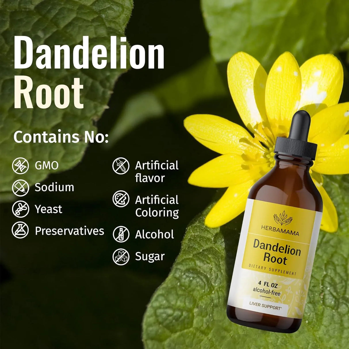 HERBAMAMA - Herbamama Dandelion Root Tincture 4 Fl.Oz. - The Red Vitamin MX - Suplementos Alimenticios - {{ shop.shopifyCountryName }}