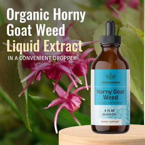 HERBAMAMA - Herbamama Horny Goat Weed Liquid Extract 4 Fl. Oz. - The Red Vitamin MX - Suplementos Alimenticios - {{ shop.shopifyCountryName }}