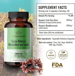 HERBAMAMA - Herbamama Sea Moss Capsules 1600Mg. 100 Capsulas - The Red Vitamin MX - Suplementos Alimenticios - {{ shop.shopifyCountryName }}