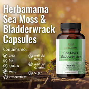 HERBAMAMA - Herbamama Sea Moss Capsules 1600Mg. 100 Capsulas - The Red Vitamin MX - Suplementos Alimenticios - {{ shop.shopifyCountryName }}