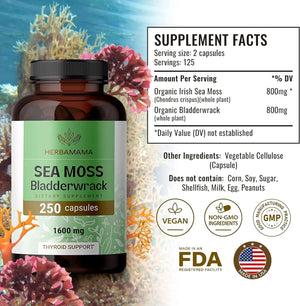 HERBAMAMA - Herbamama Sea Moss Capsules 1600Mg. 250 Capsulas - The Red Vitamin MX - Suplementos Alimenticios - {{ shop.shopifyCountryName }}