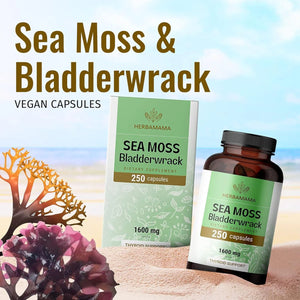 HERBAMAMA - Herbamama Sea Moss Capsules 1600Mg. 250 Capsulas - The Red Vitamin MX - Suplementos Alimenticios - {{ shop.shopifyCountryName }}