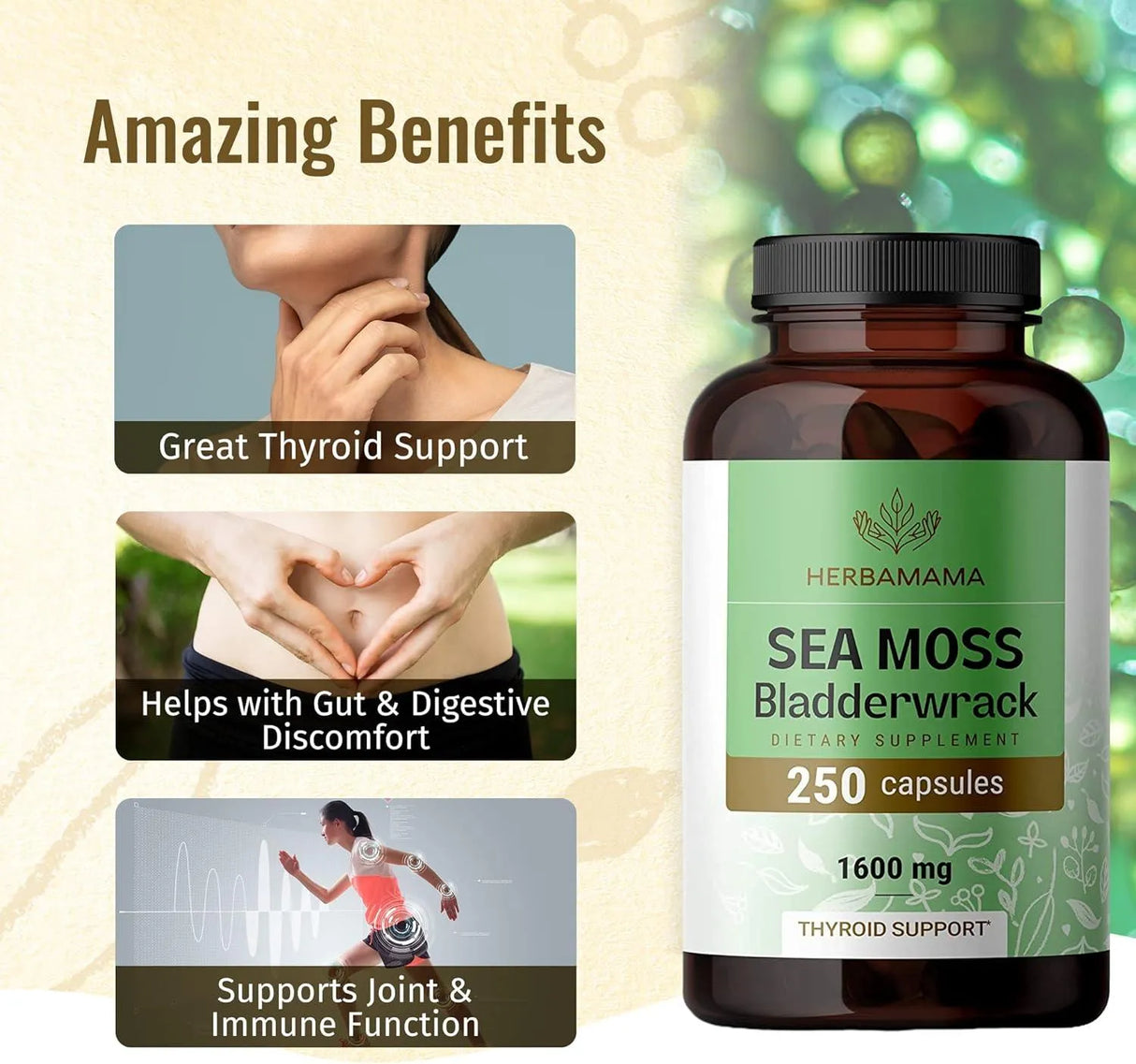 HERBAMAMA - Herbamama Sea Moss Capsules 1600Mg. 250 Capsulas - The Red Vitamin MX - Suplementos Alimenticios - {{ shop.shopifyCountryName }}