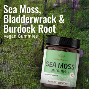 HERBAMAMA - Herbamama Sea Moss Gummies 90 Gomitas - The Red Vitamin MX - Suplementos Alimenticios - {{ shop.shopifyCountryName }}