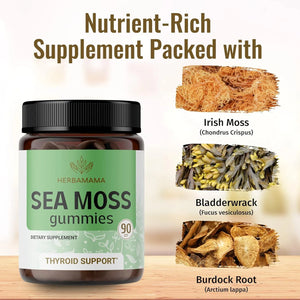 HERBAMAMA - Herbamama Sea Moss Gummies 90 Gomitas - The Red Vitamin MX - Suplementos Alimenticios - {{ shop.shopifyCountryName }}