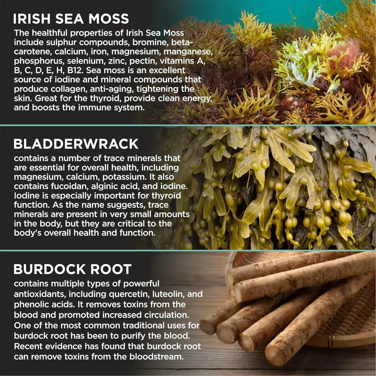 HERBAME - HerbaMe Organic Irish Sea Moss with Bladderwrack 150 Capsulas - The Red Vitamin MX - Suplementos Alimenticios - {{ shop.shopifyCountryName }}