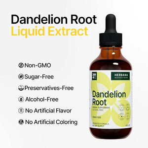 HERBANA - Herbana Dandelion Root Liquid Extract 4 Fl.Oz. - The Red Vitamin MX - Suplementos Alimenticios - {{ shop.shopifyCountryName }}