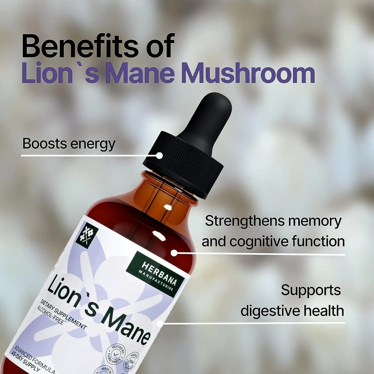 HERBANA - Herbana Lion's Mane Liquid Extract 2 Fl. Oz. - The Red Vitamin MX - Suplementos Alimenticios - {{ shop.shopifyCountryName }}