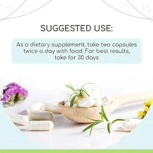 HERBERA - HerbEra Galangal 500Mg. 60 Capsulas - The Red Vitamin MX - Suplementos Alimenticios - {{ shop.shopifyCountryName }}