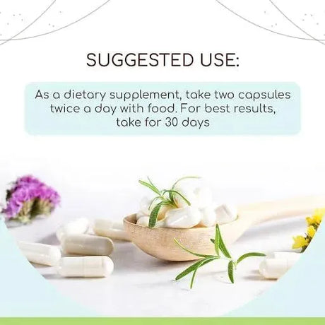 HERBERA - HerbEra Quinine 1000Mg. 120 Capsulas - The Red Vitamin MX - Suplementos Alimenticios - {{ shop.shopifyCountryName }}