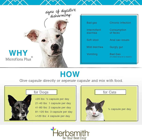 HERBSMITH - Herbsmith Microflora Plus Probiotics and Digestive Enzymes for Dogs 30 Capsulas - The Red Vitamin MX - Probióticos Para Perros - {{ shop.shopifyCountryName }}