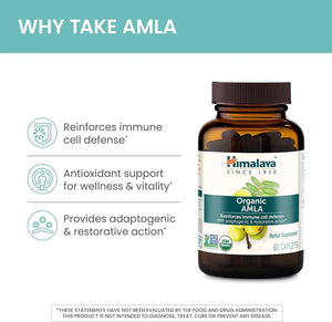 HIMALAYA - Himalaya Organic Amla Natural Antioxidant 60 Tabletas 2 Pack - The Red Vitamin MX - Suplementos Alimenticios - {{ shop.shopifyCountryName }}