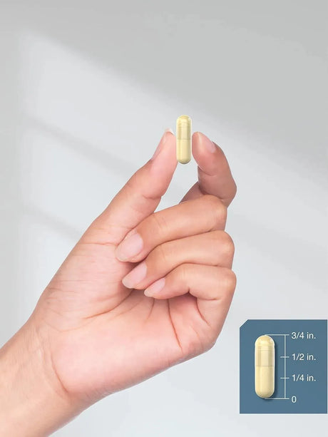 HORBAACH - Horbaach Beta Glucan 1 3D 180 Capsulas - The Red Vitamin MX - Suplementos Alimenticios - {{ shop.shopifyCountryName }}