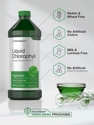 HORBAACH - Horbaach Chlorophyll Liquid Drops 100Mg. 473Ml. 2 Pack - The Red Vitamin MX - Suplementos Alimenticios - {{ shop.shopifyCountryName }}