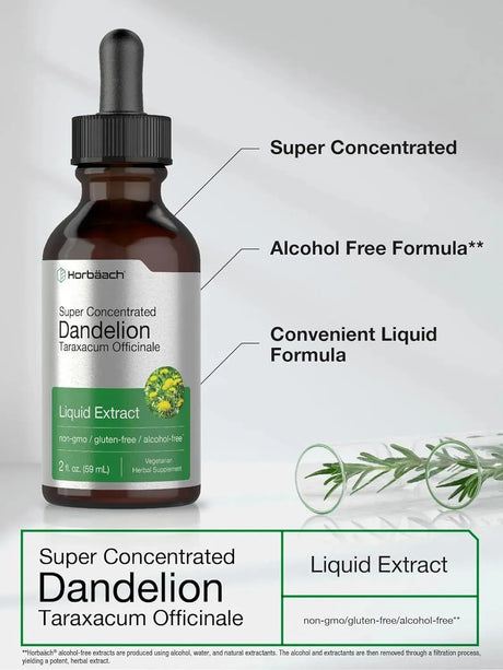HORBAACH - Horbaach Dandelion Root Extract 59Ml. - The Red Vitamin MX - Suplementos Alimenticios - {{ shop.shopifyCountryName }}