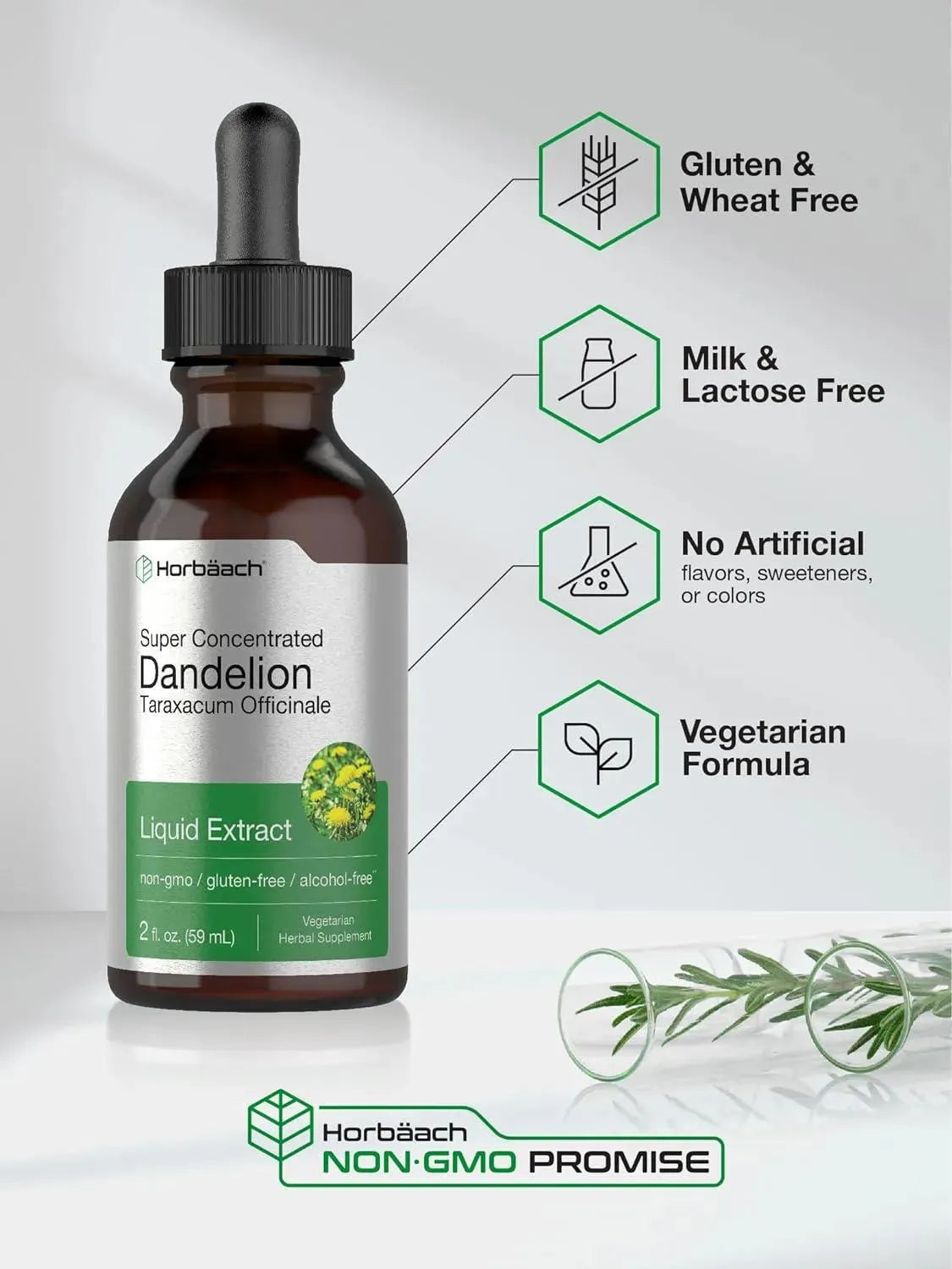 HORBAACH - Horbaach Dandelion Root Extract 59Ml. - The Red Vitamin MX - Suplementos Alimenticios - {{ shop.shopifyCountryName }}