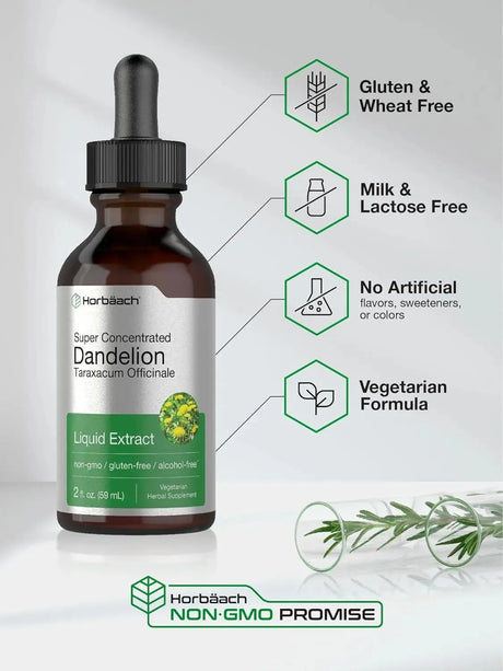 HORBAACH - Horbaach Dandelion Root Extract 59Ml. - The Red Vitamin MX - Suplementos Alimenticios - {{ shop.shopifyCountryName }}
