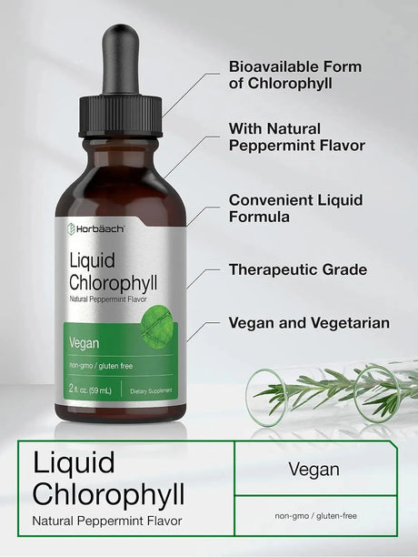 HORBAACH - Horbaach Liquid Chlorophyll 59Ml. - The Red Vitamin MX - Suplementos Alimenticios - {{ shop.shopifyCountryName }}