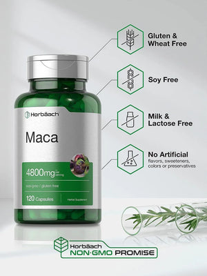 HORBAACH - Horbaach Maca Root Capsules 4800Mg. 120 Capsulas - The Red Vitamin MX - Suplementos Alimenticios - {{ shop.shopifyCountryName }}