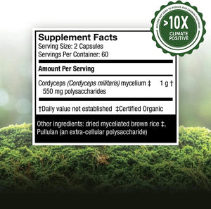 HOST DEFENSE - Host Defense Cordyceps 120 Capsulas - The Red Vitamin MX - Suplementos Alimenticios - {{ shop.shopifyCountryName }}