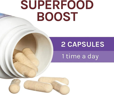 HOST DEFENSE - Host Defense Lion's Mane 60 Capsulas - The Red Vitamin MX - Suplementos Alimenticios - {{ shop.shopifyCountryName }}