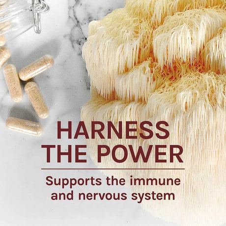 HOST DEFENSE - Host Defense Lion's Mane 60 Capsulas - The Red Vitamin MX - Suplementos Alimenticios - {{ shop.shopifyCountryName }}