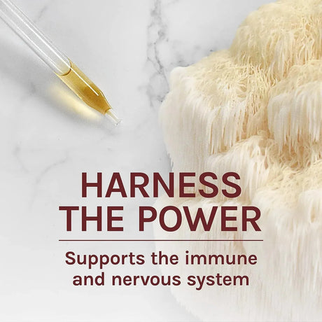 HOST DEFENSE - Host Defense, Lion's Mane Extract 1 Fl. Oz. - The Red Vitamin MX - Suplementos Alimenticios - {{ shop.shopifyCountryName }}