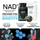 HPN - HPN NAD3 NAD+ Booster - The Red Vitamin MX - Suplementos Alimenticios - {{ shop.shopifyCountryName }}