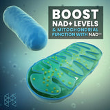 HPN - HPN NAD3 NAD+ Booster - The Red Vitamin MX - Suplementos Alimenticios - {{ shop.shopifyCountryName }}