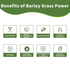 HUDETEX - Hudetex Barley Grass Juice Powder 226Gr. - The Red Vitamin MX - Suplementos Alimenticios - {{ shop.shopifyCountryName }}